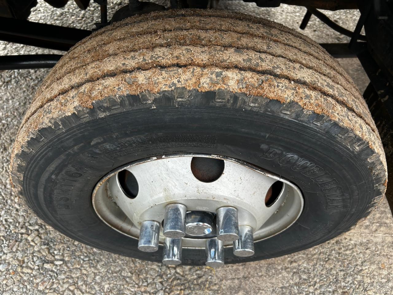 WhatsApp Image 2026-01-15 at 15.30.27 (1)