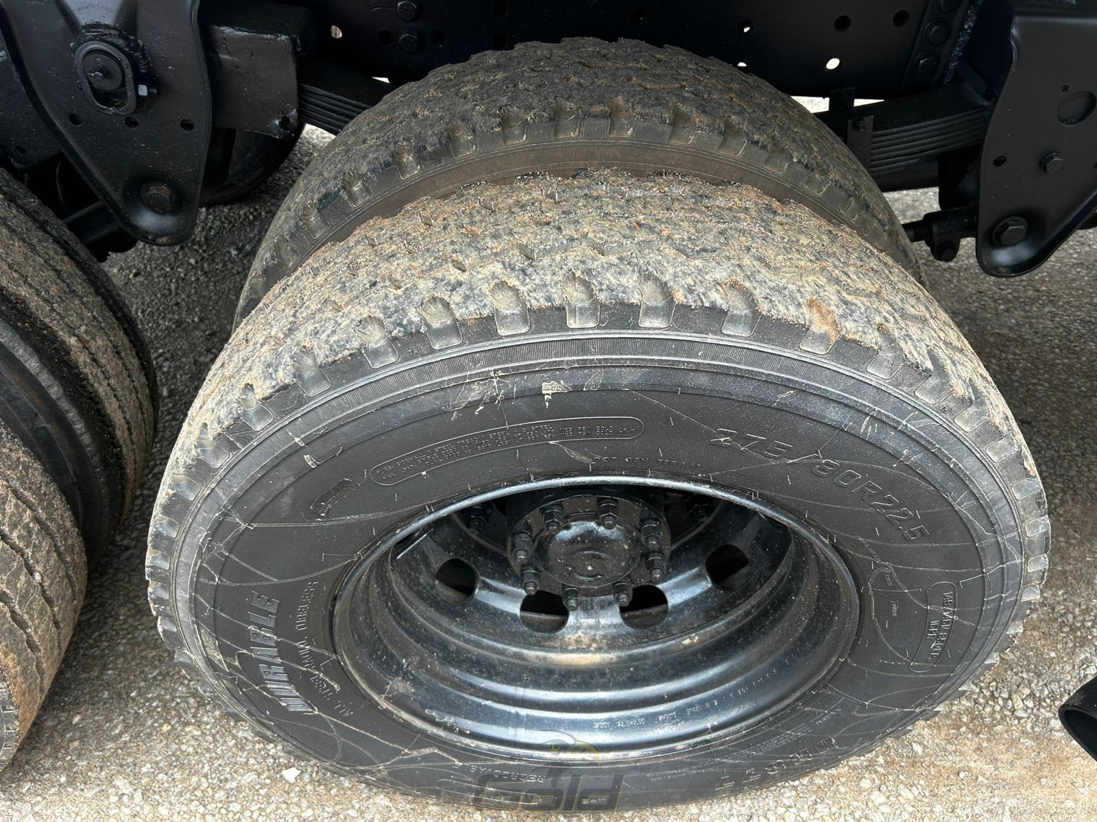 WhatsApp Image 2026-01-21 at 17.08.55 (3)