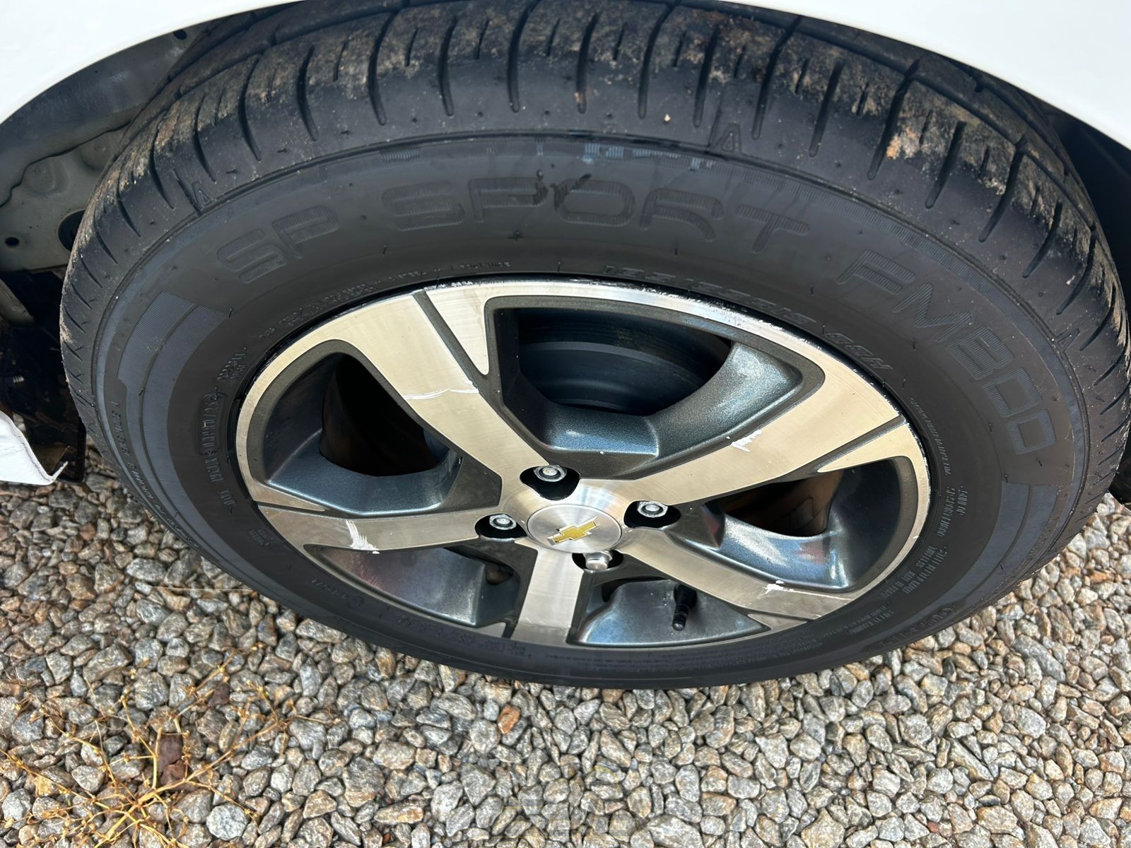 WhatsApp Image 2026-01-26 at 14.36.08