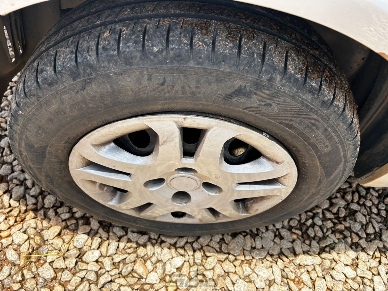 WhatsApp Image 2026-01-29 at 12.45.20