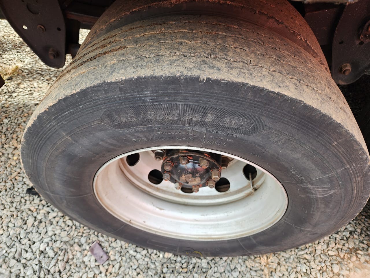 WhatsApp Image 2026-01-30 at 16.31.52 (1)