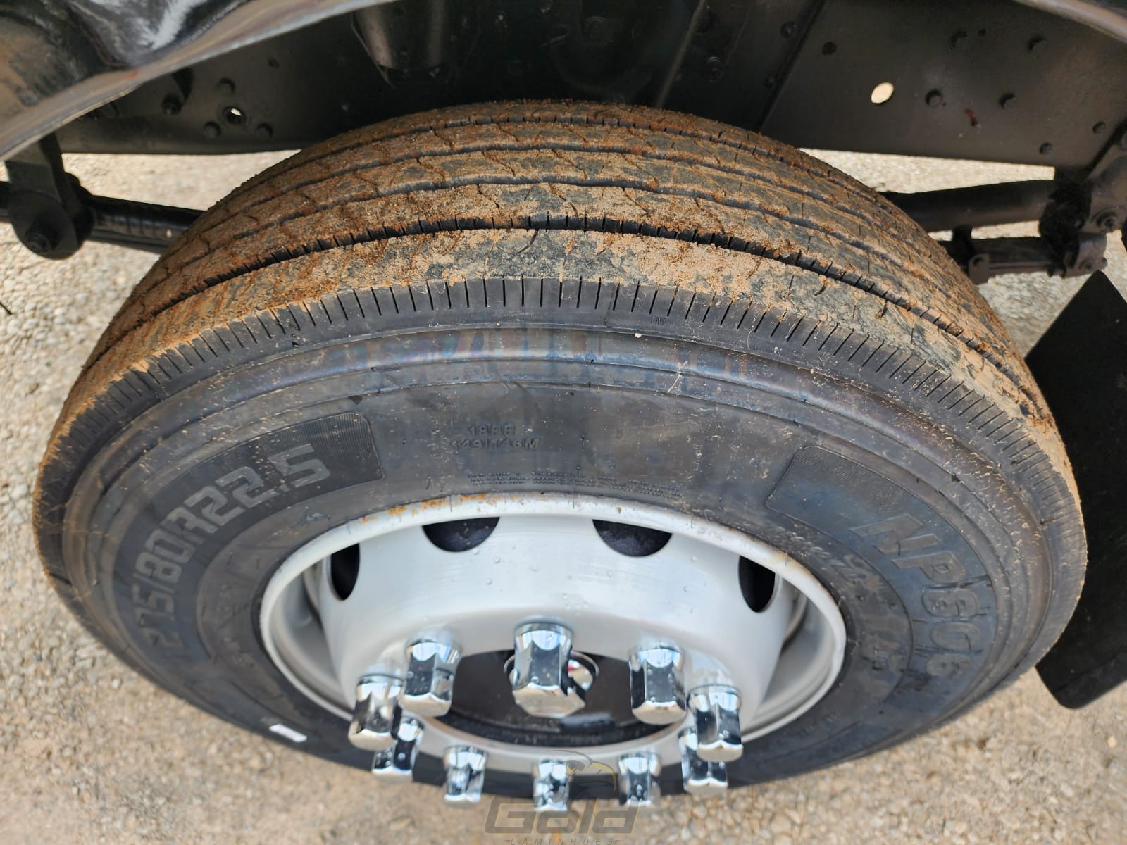 WhatsApp Image 2026-02-02 at 12.07.42