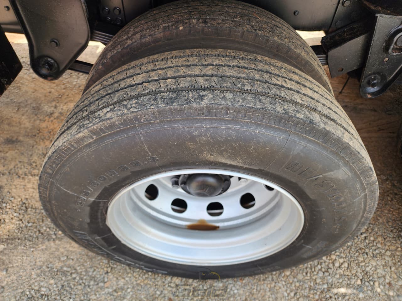 WhatsApp Image 2026-02-19 at 11.08.26 (1)