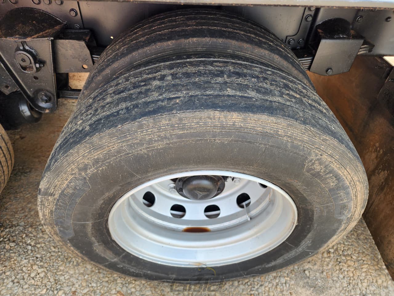 WhatsApp Image 2026-02-19 at 11.08.27