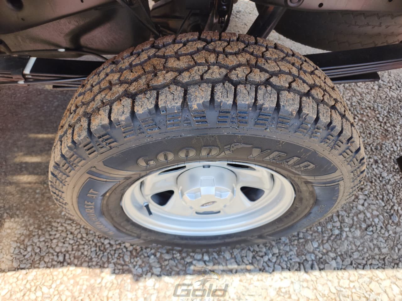 WhatsApp Image 2026-03-12 at 12.28.39