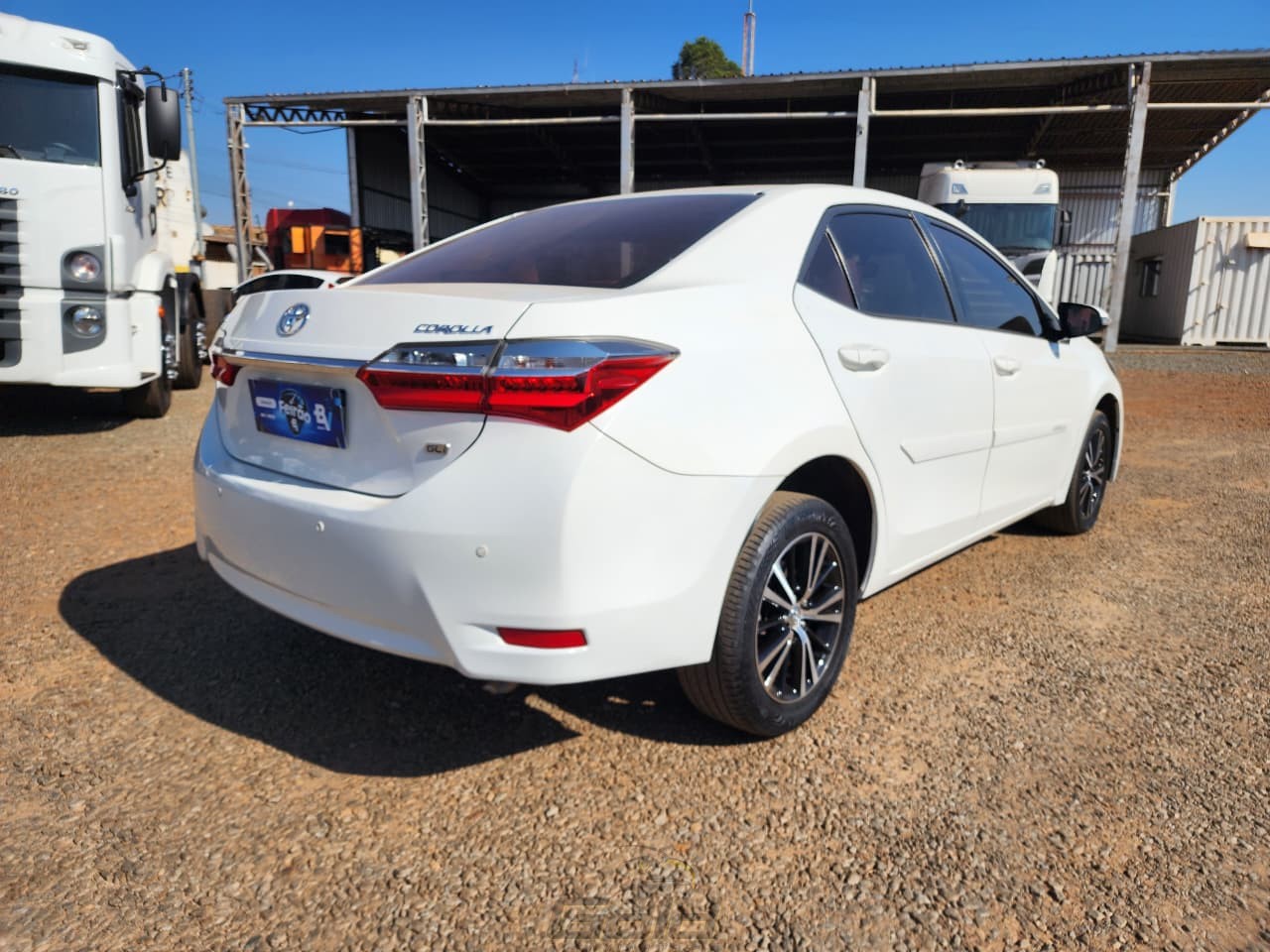 corolla (1)