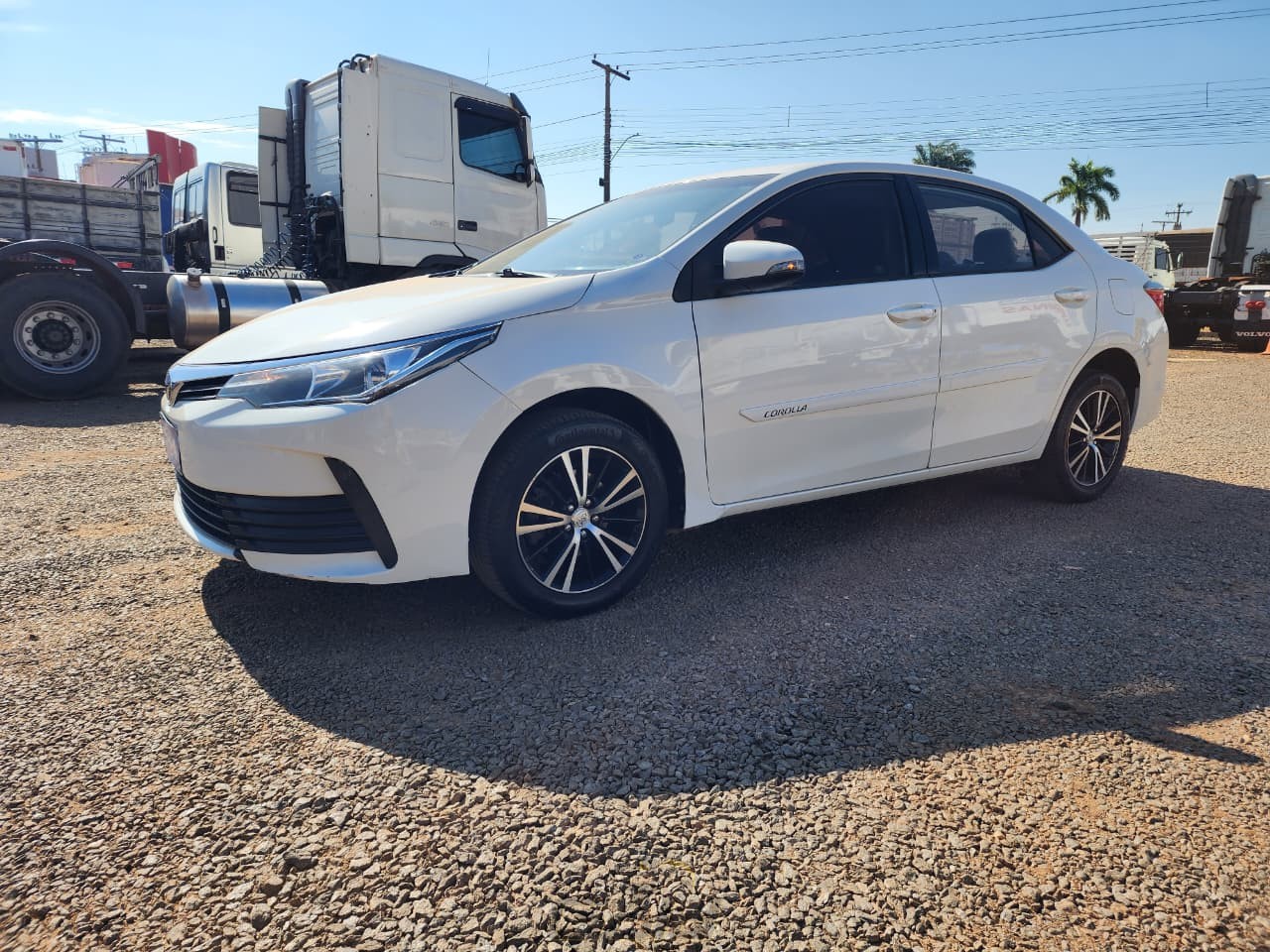 corolla (11)