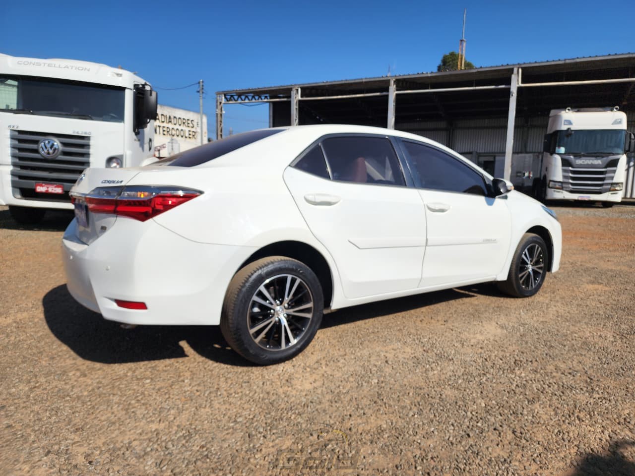 corolla (12)