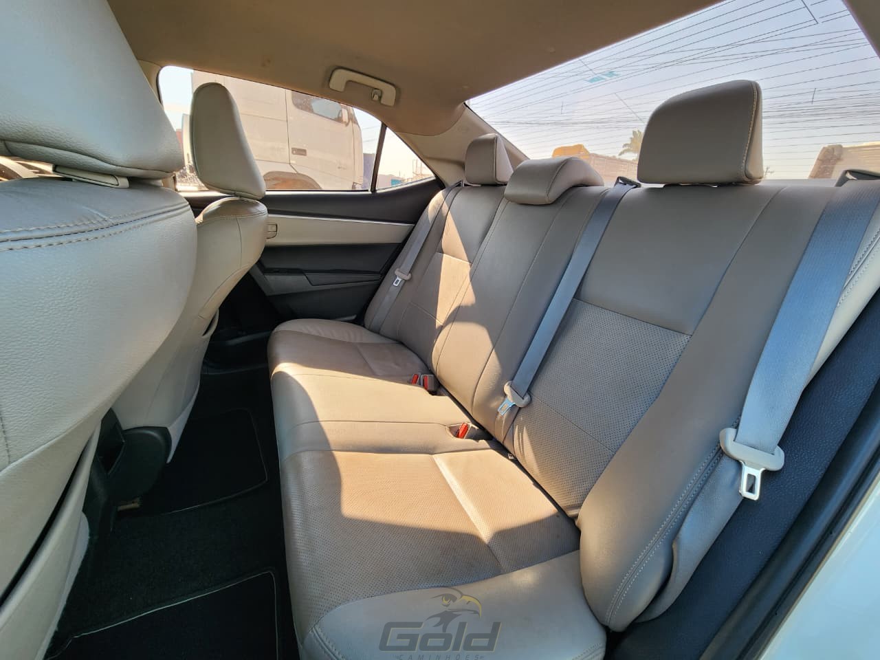 corolla (16)