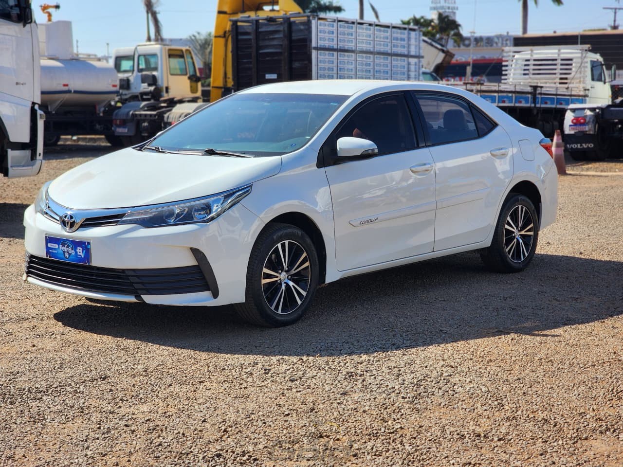 corolla (19)