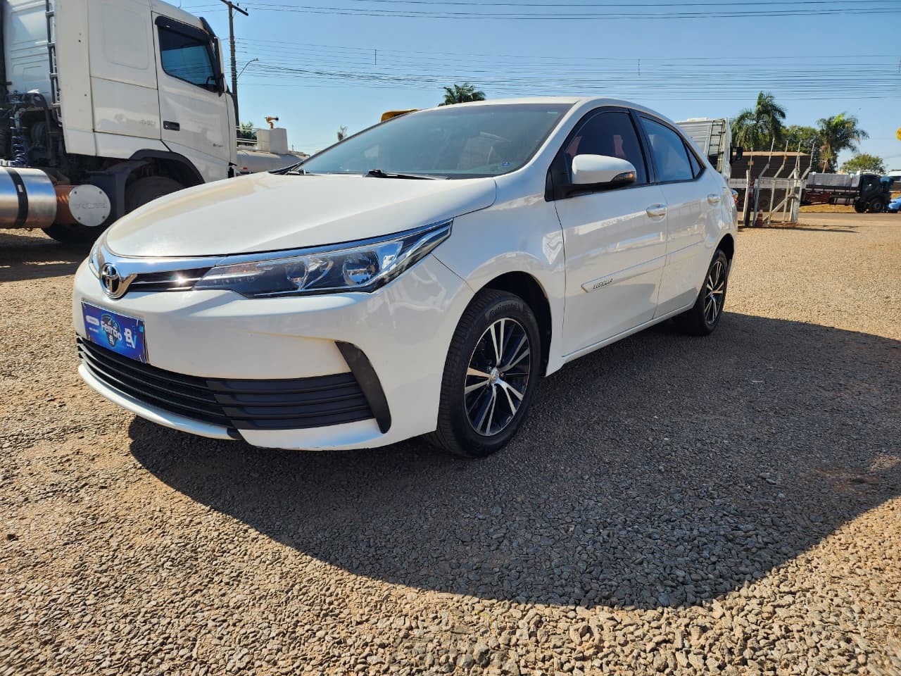 corolla (5)