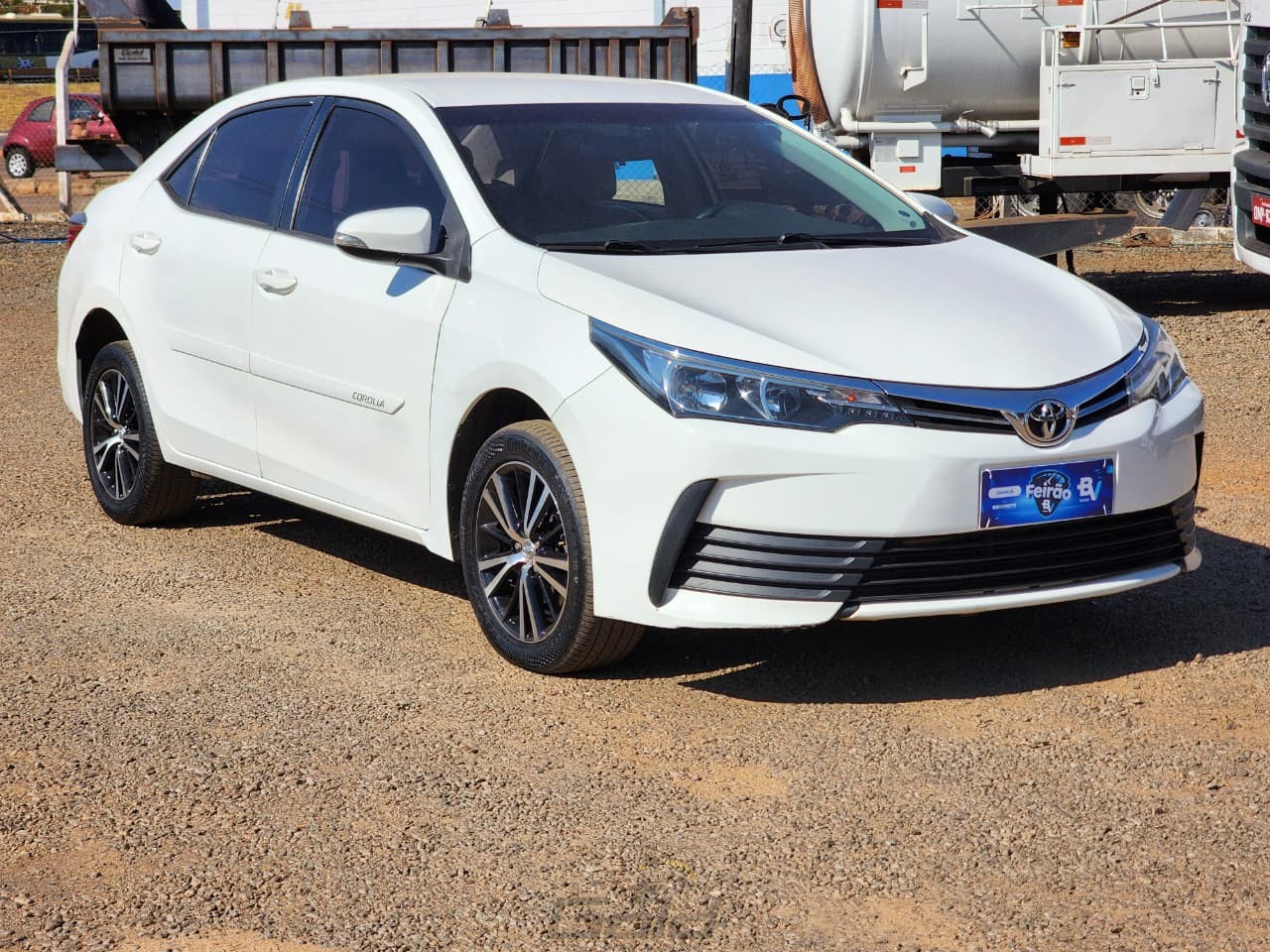 corolla (6)