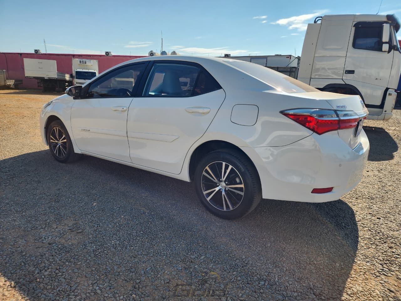 corolla (7)