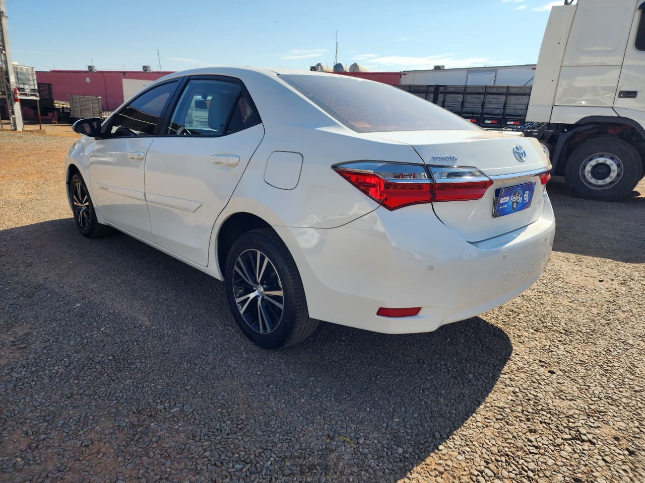 corolla (8)